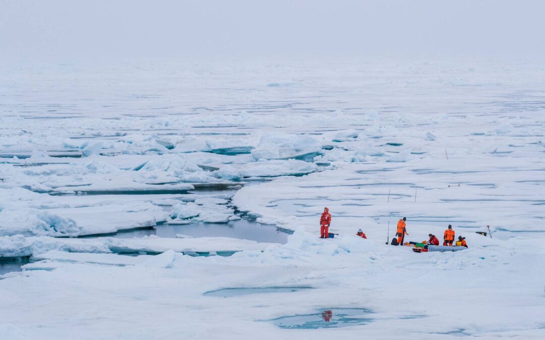 MOSAiC ofrece la primera imagen completa del calentamiento global en el Ártico