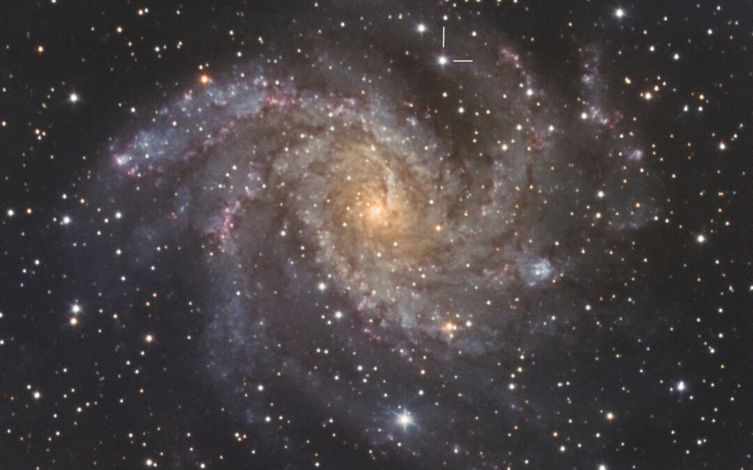 A supernova in the galaxy NGC 6946, picture of May of the Observatori Astronòmic del Montsec