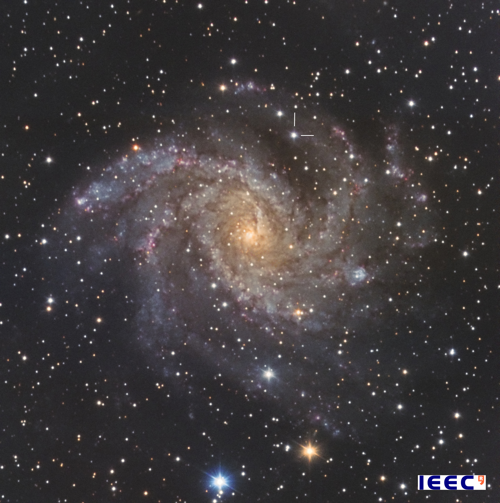 A supernova in the galaxy NGC 6946, picture of May of the Observatori Astronòmic del Montsec