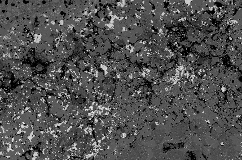 Carbonaceous chondrites shed light on the origins of life in the universe