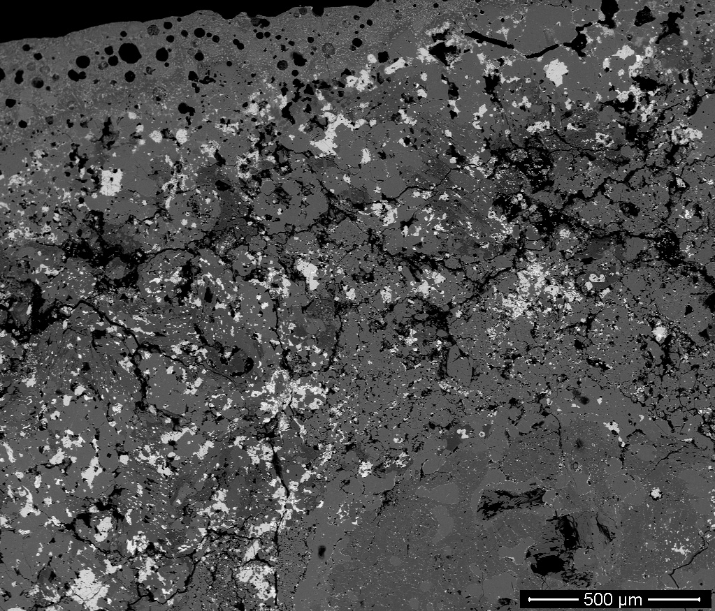 Carbonaceous chondrites shed light on the origins of life in the universe