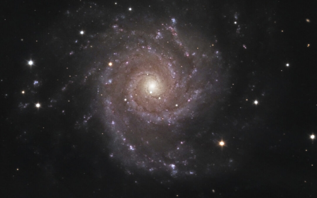 The spiral galaxy M74, picture of September of the Observatori Asrtronòmic del Montsec