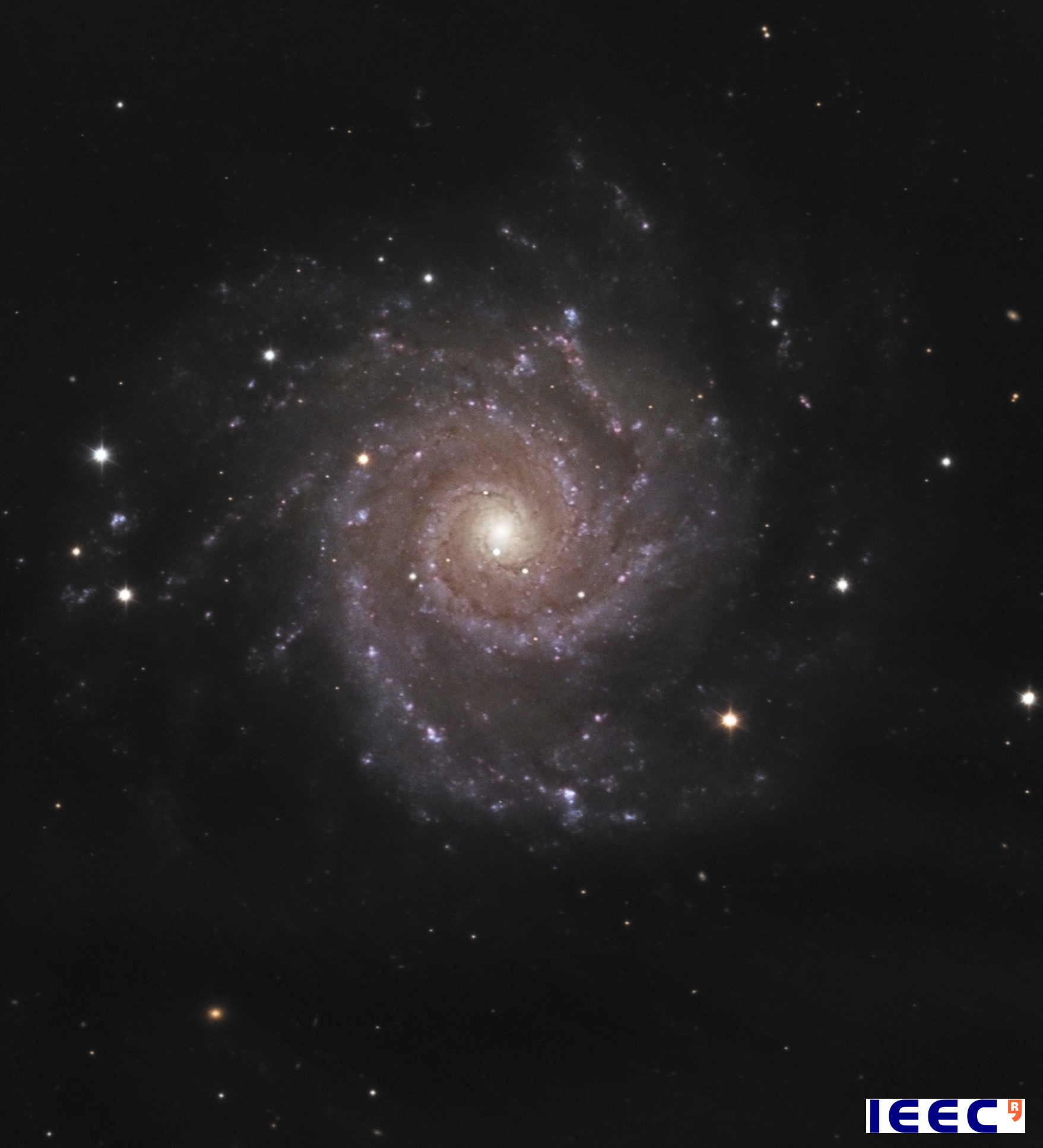 The spiral galaxy M74, picture of September of the Observatori Asrtronòmic del Montsec