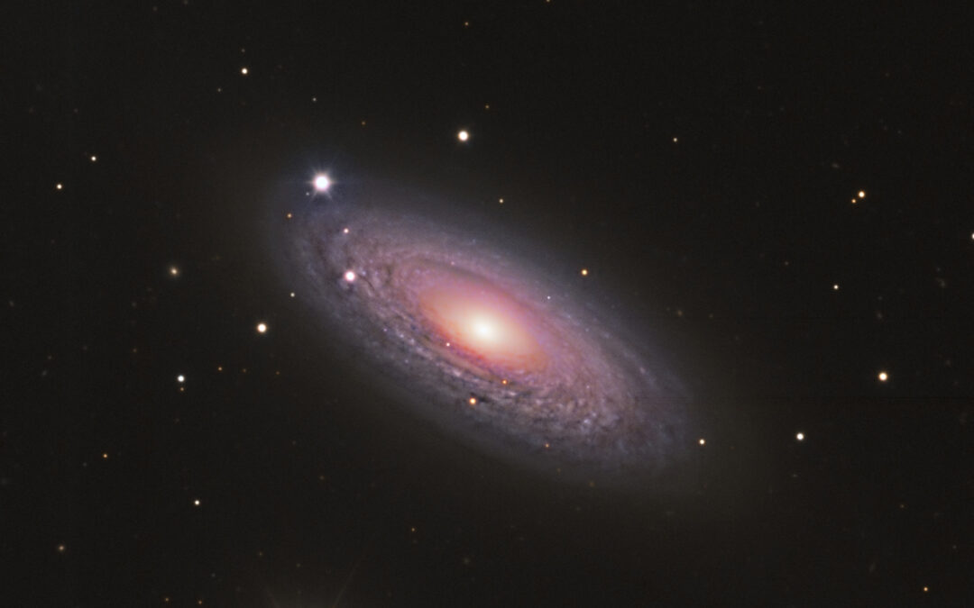 The spiral galaxy NGC 2841, picture of April of the Observatori Astronòmic del Montsec [NOT TRANSLATED]