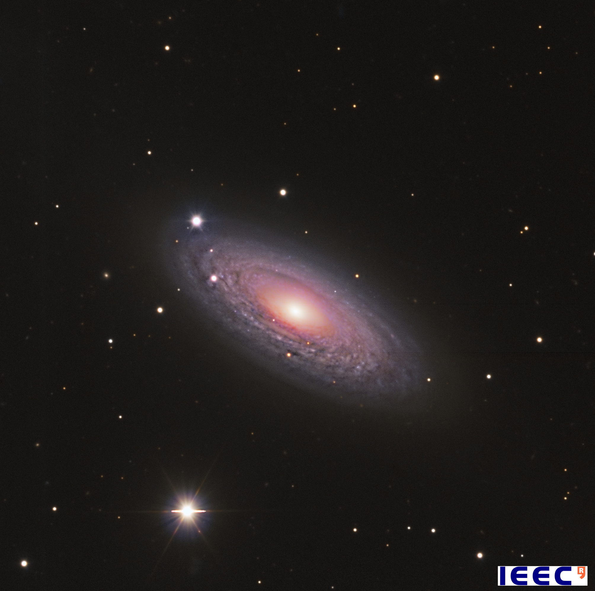 The spiral galaxy NGC 2841, picture of April of the Observatori Astronòmic del Montsec