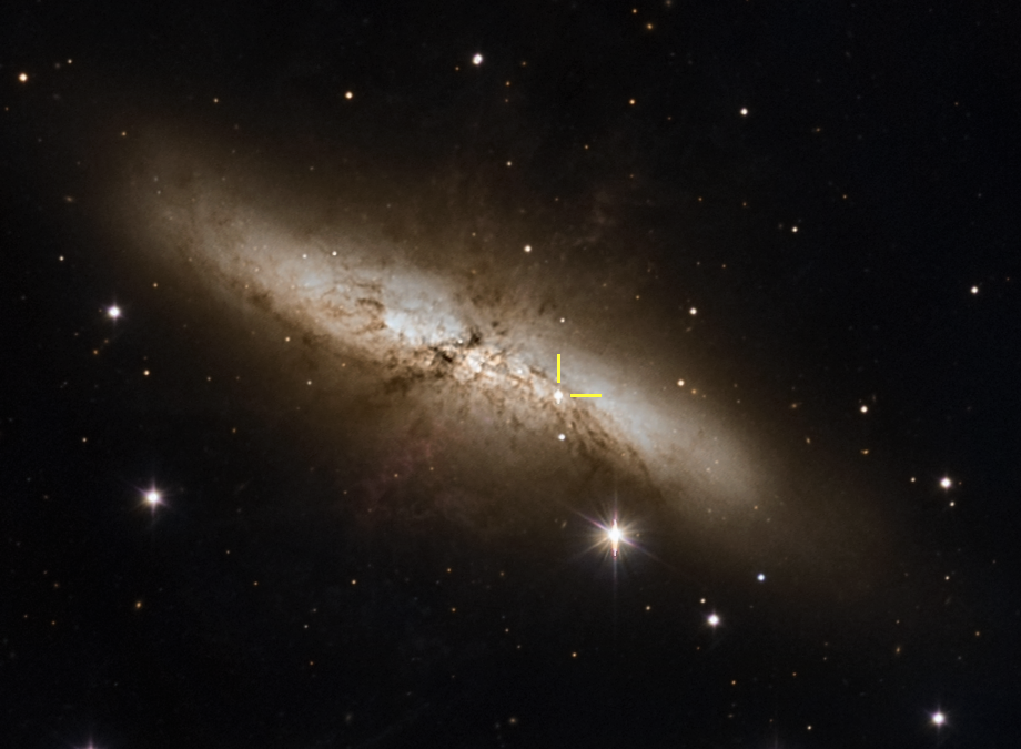 The TJO observed the supernova SN2014J in M82 [NOT TRANSLATED]