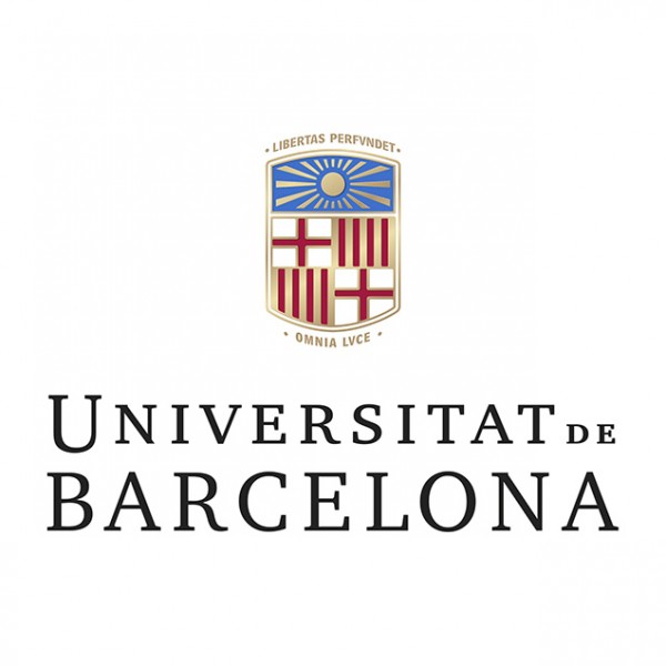 ICCUB seminar. Cesar Gomez: The Beauty of The Infra Red [NOT TRANSLATED]