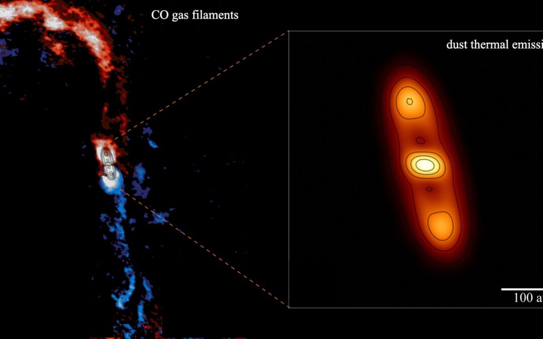 Un disco, un planeta y una estrella que forman parte del mismo sistema, vistos creciendo simultáneamente