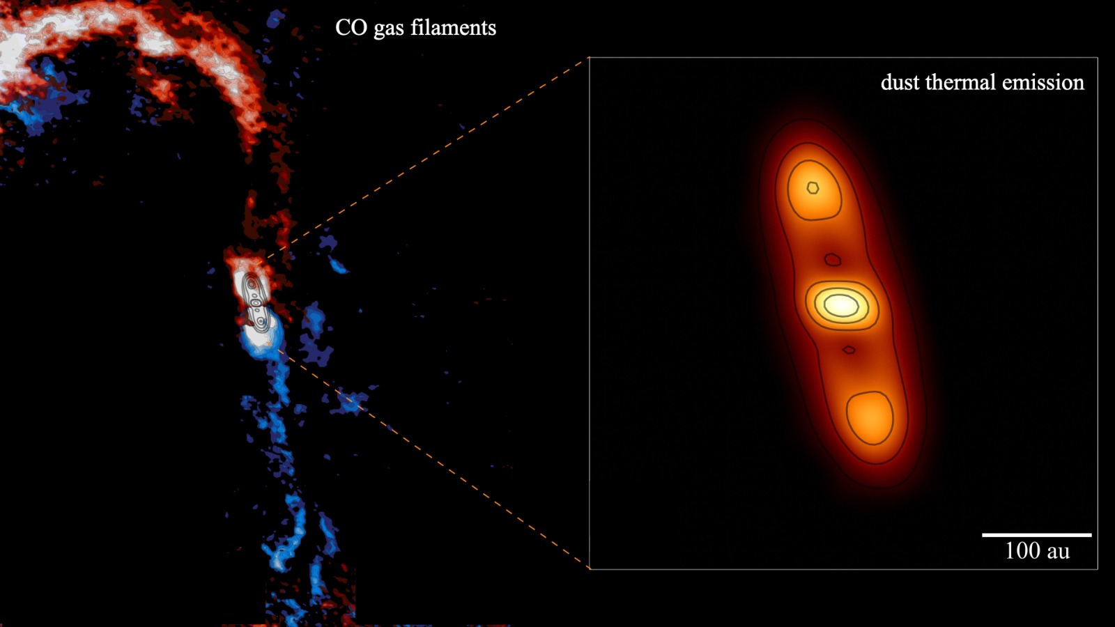 Disk, planet and star of the same system seen growing together