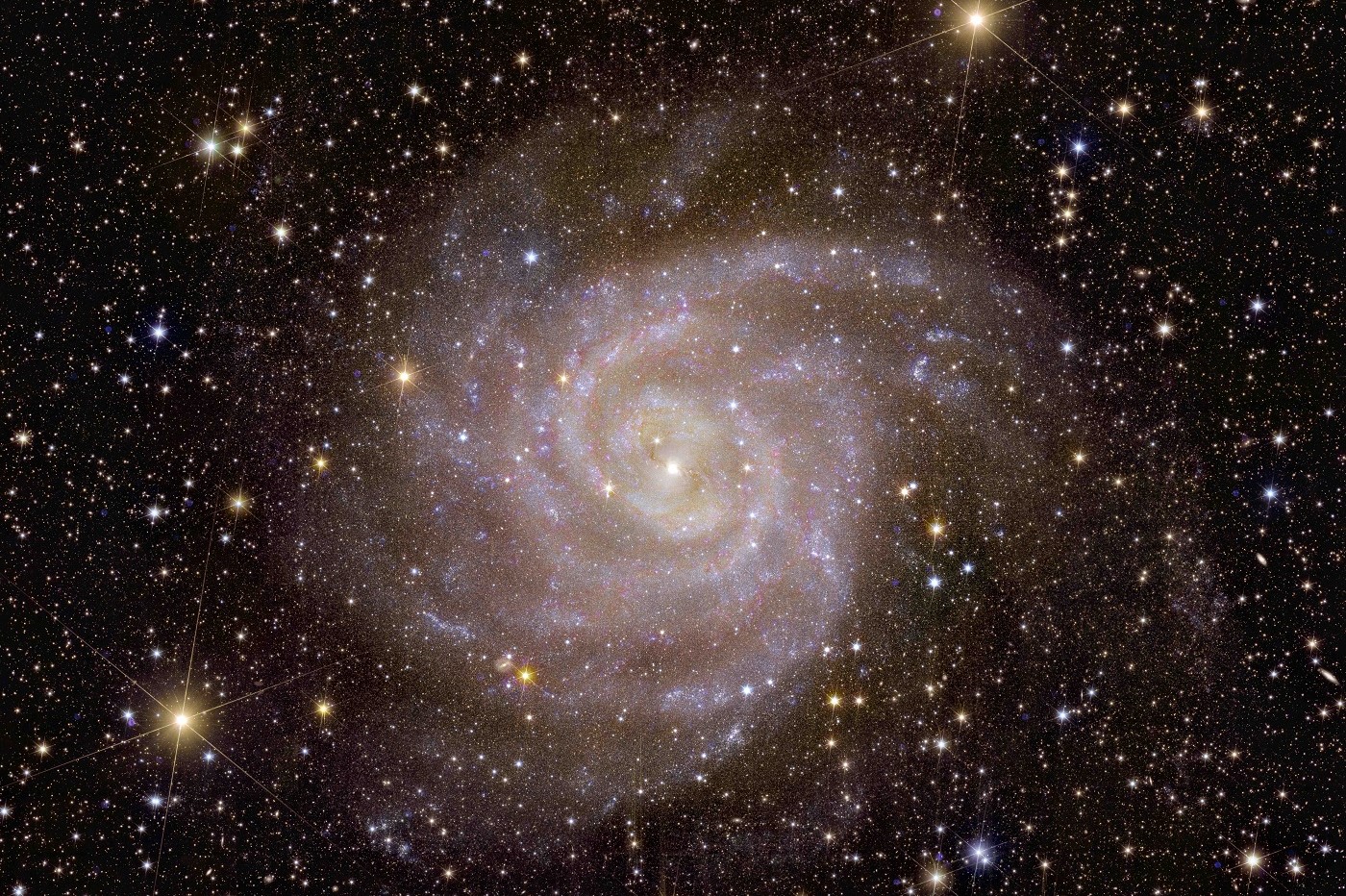 IC 342 Euclid