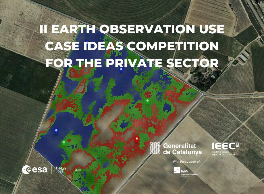 Resolution of the second Earth Observation Use Case Ideas Competition for the Private Sector