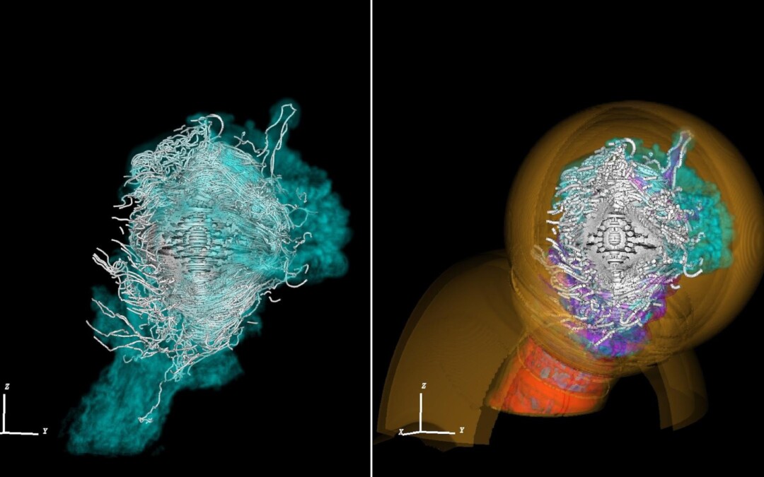 New simulations hint pulsar nebulae are influenced by the evolution of their progenitor stars