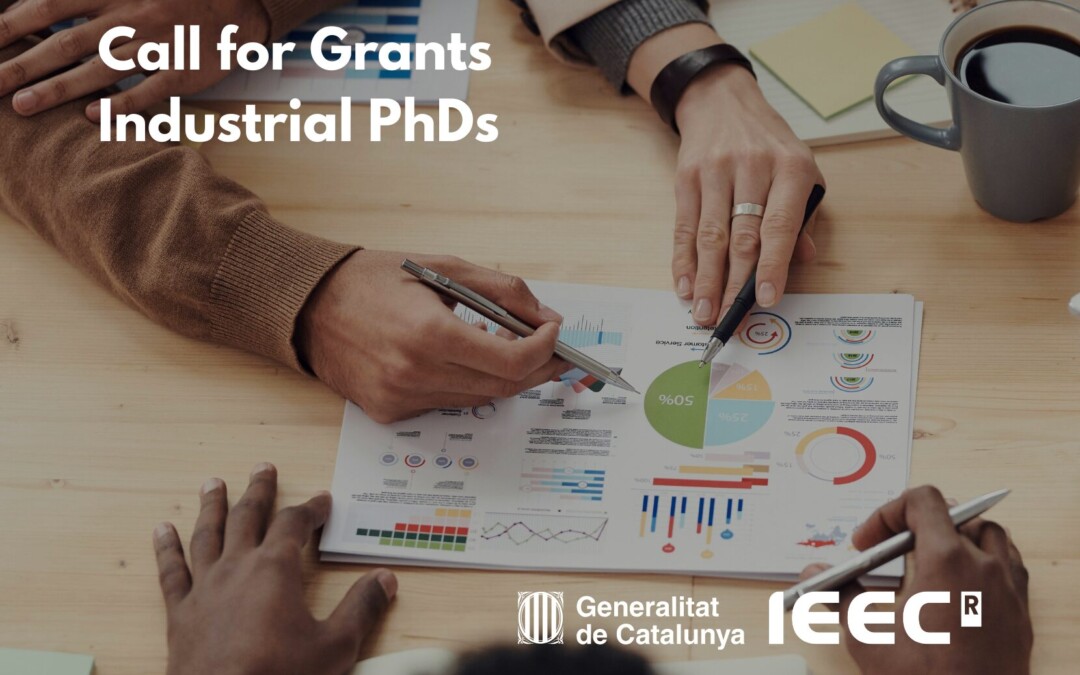 Call for Grants to Companies for the Funding of Industrial PhDs in Space Sector Projects
