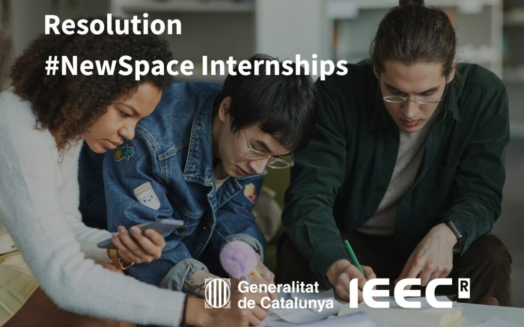 Resolution of the Call for Grants for Internships in Companies and Research Centers in NewSpace Projects